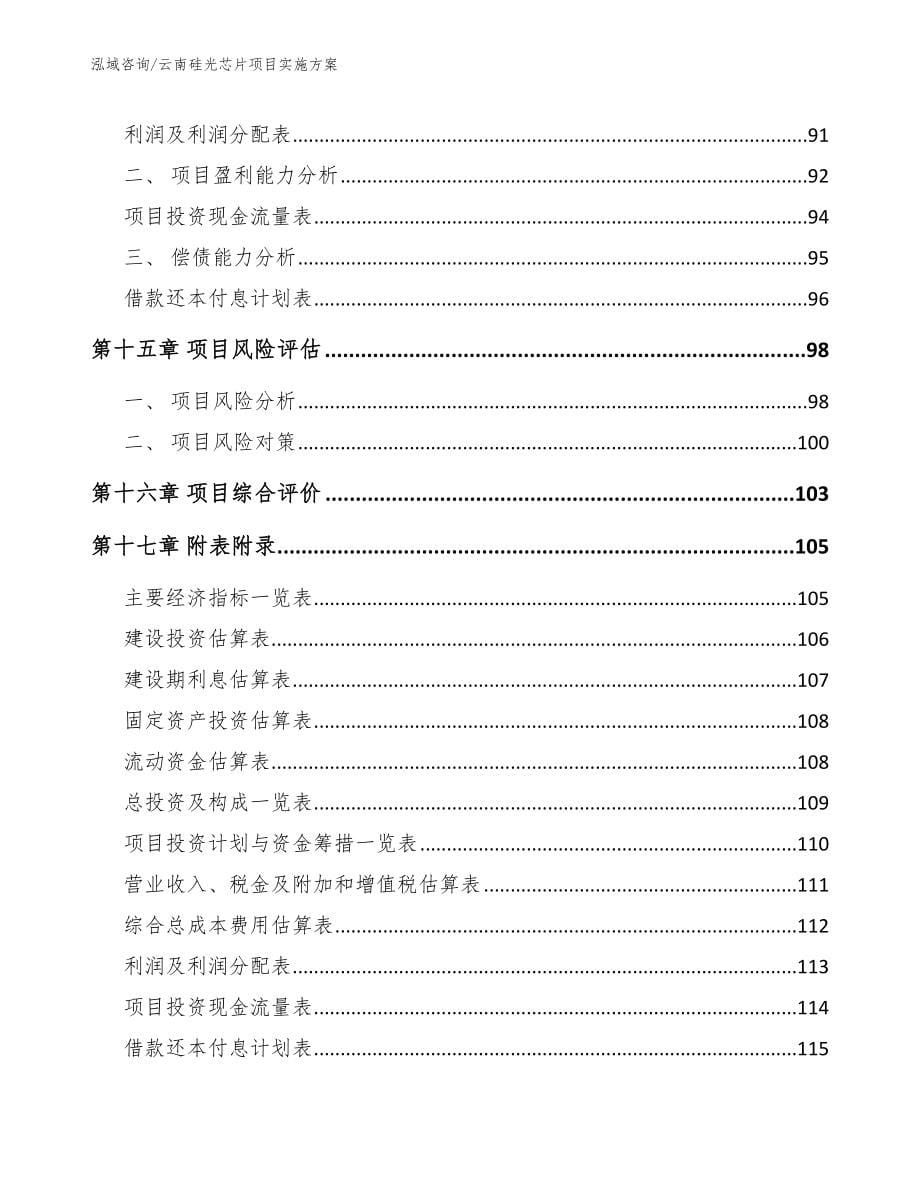 云南硅光芯片项目实施方案（范文）_第5页