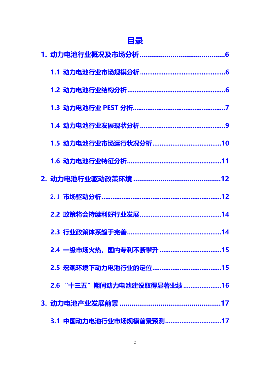 2021年【动力电池】行业调研分析报告_第2页