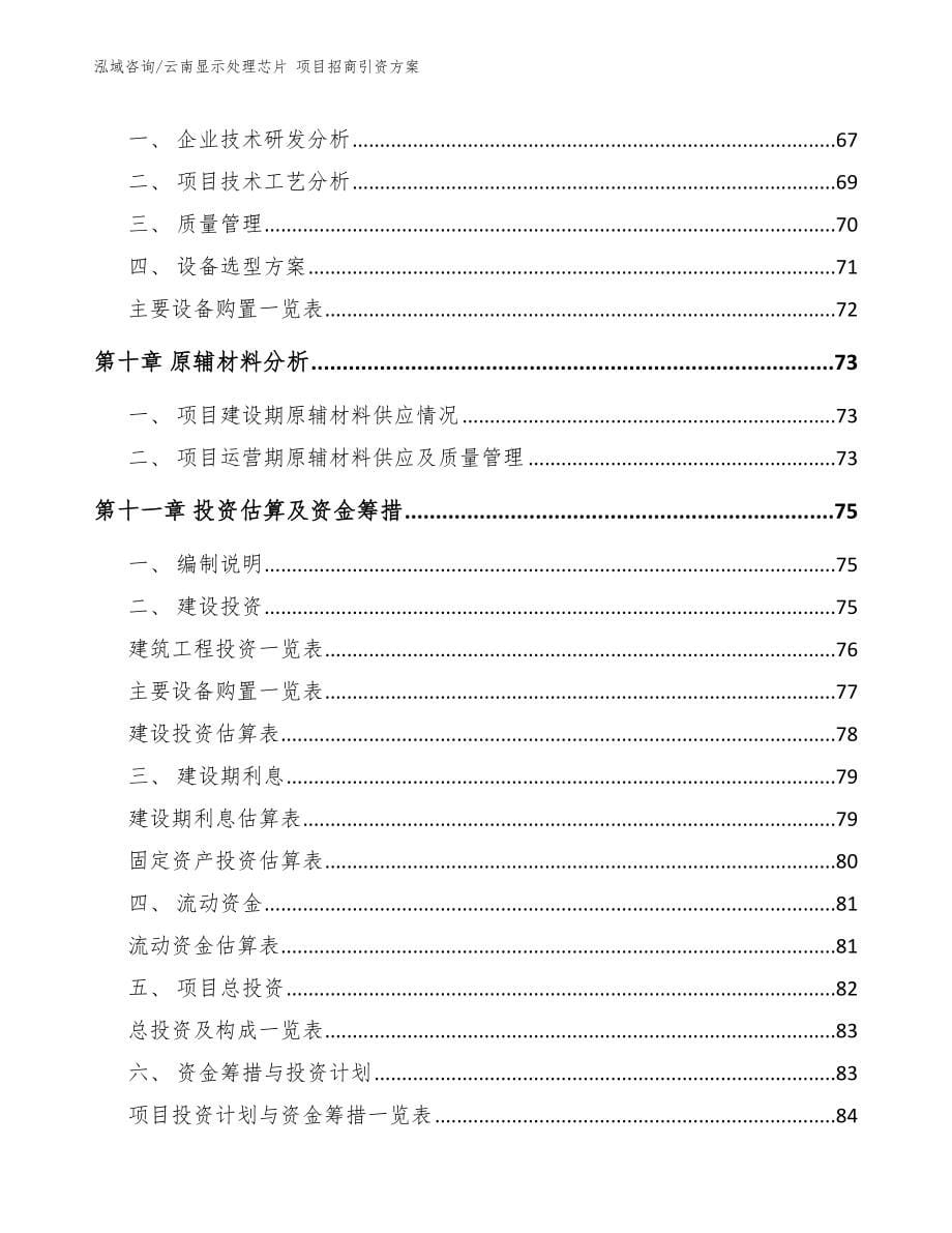 云南显示处理芯片 项目招商引资方案_第5页