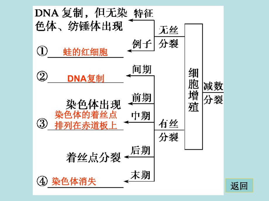 第一部分专题三学案5_第2页