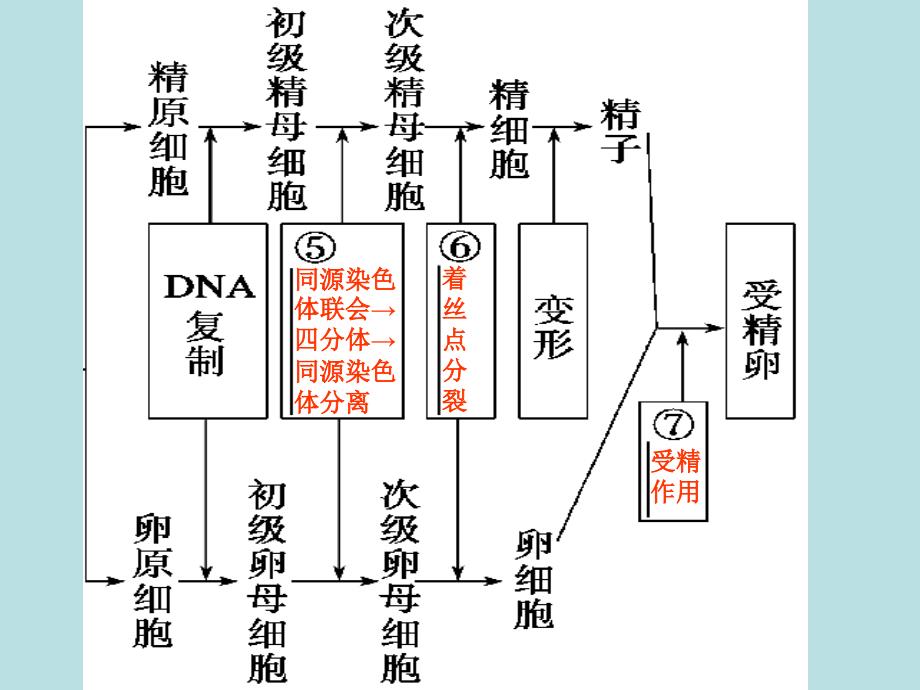 第一部分专题三学案5_第3页