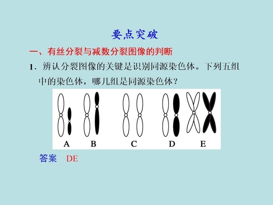 第一部分专题三学案5_第5页