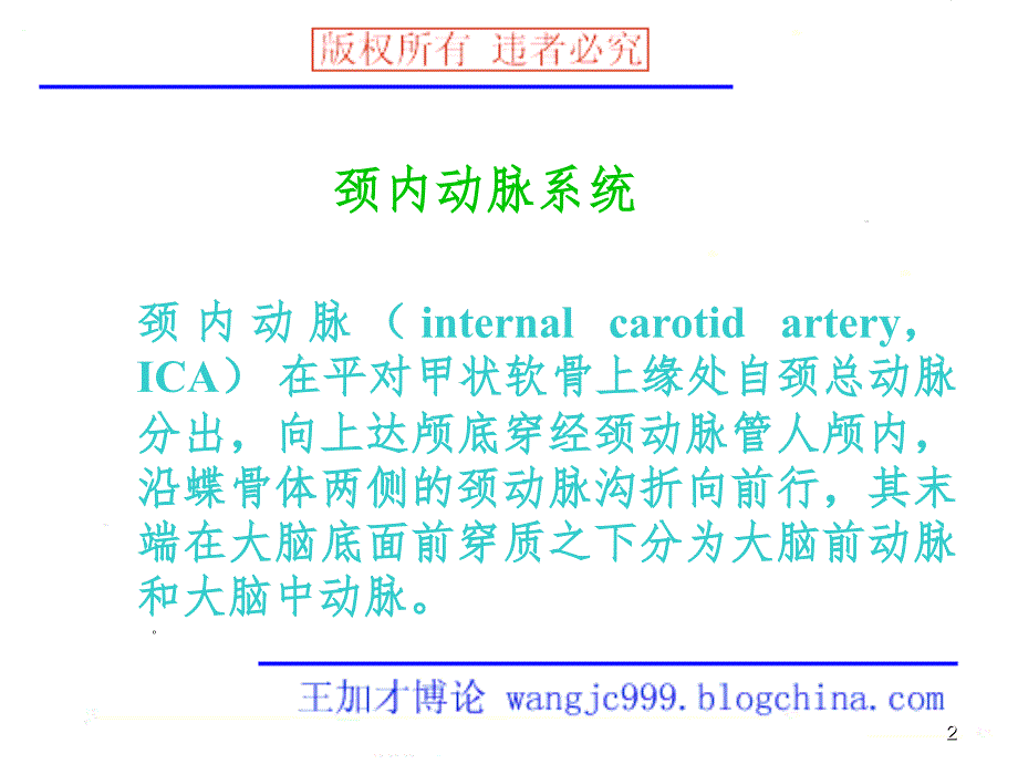 脑血管分段PPT课件_第2页