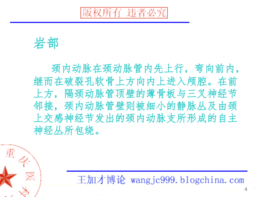 脑血管分段PPT课件_第4页