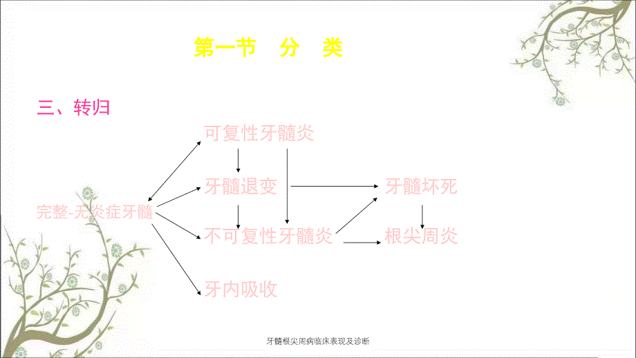 牙髓根尖周病临床表现及诊断_第4页