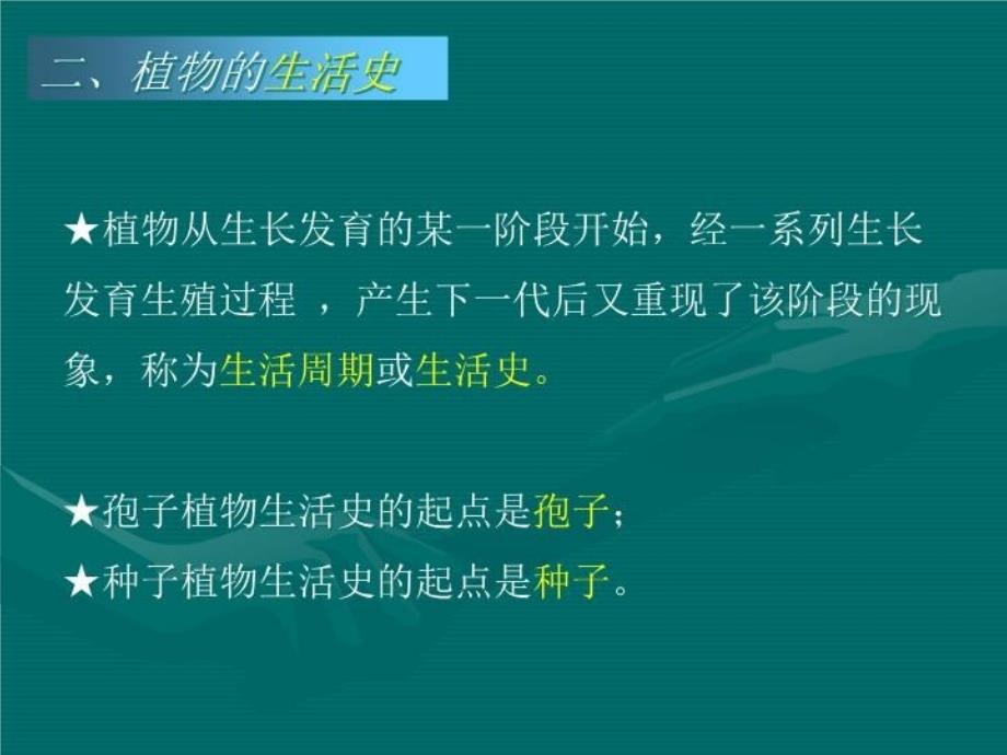 最新奥赛冲刺第3轮考点串讲植物系统学PPT课件_第3页