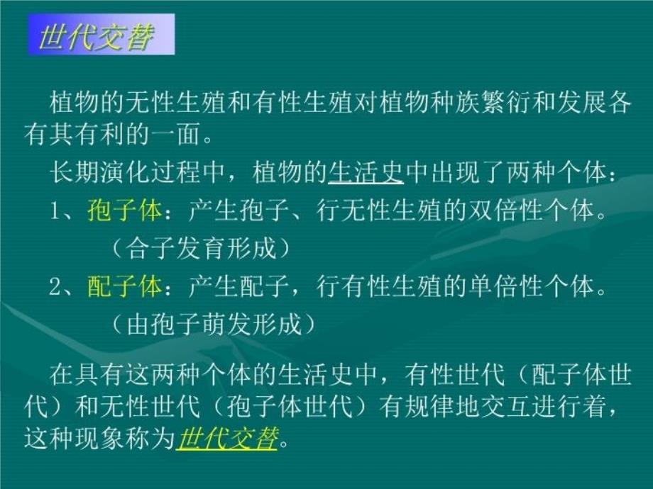 最新奥赛冲刺第3轮考点串讲植物系统学PPT课件_第4页