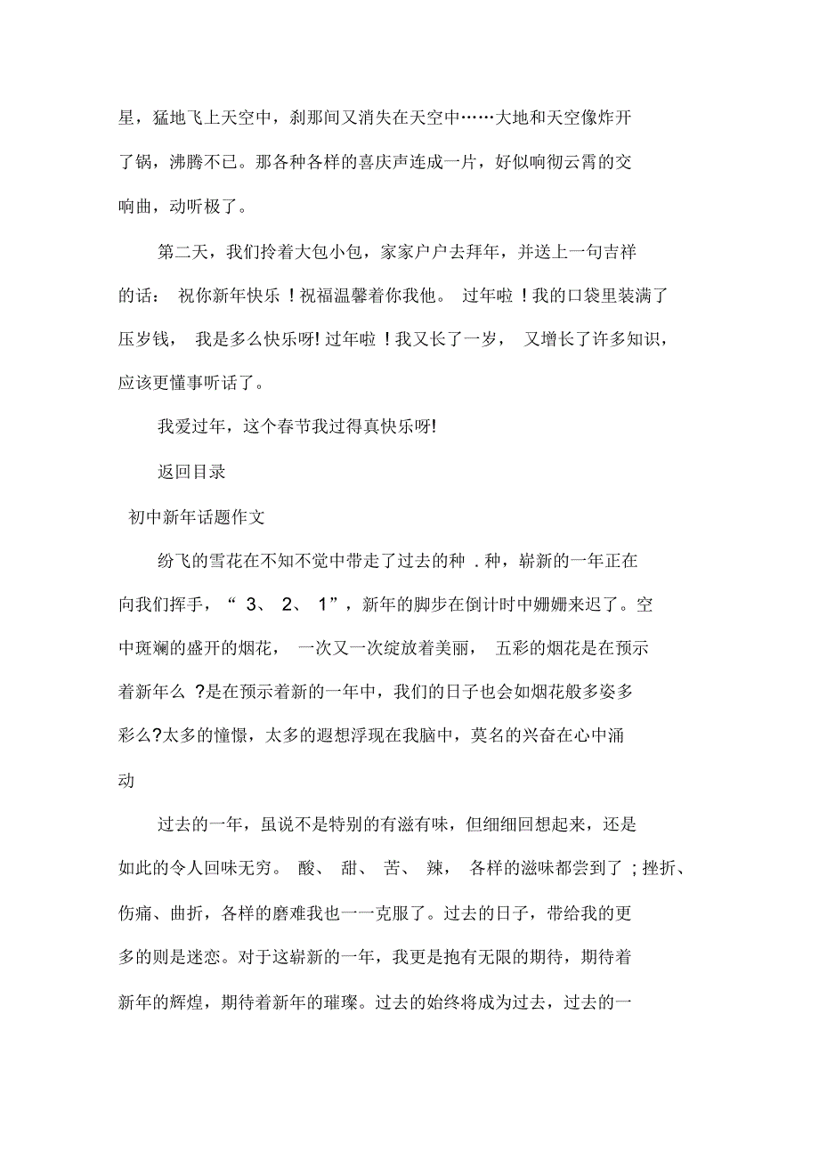 初中新年的优秀作文600字5篇_第3页