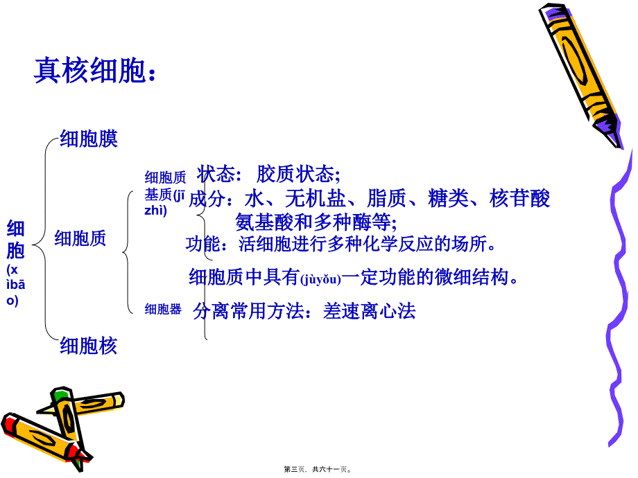 医学专题—细胞器及其生理功能复习._第3页