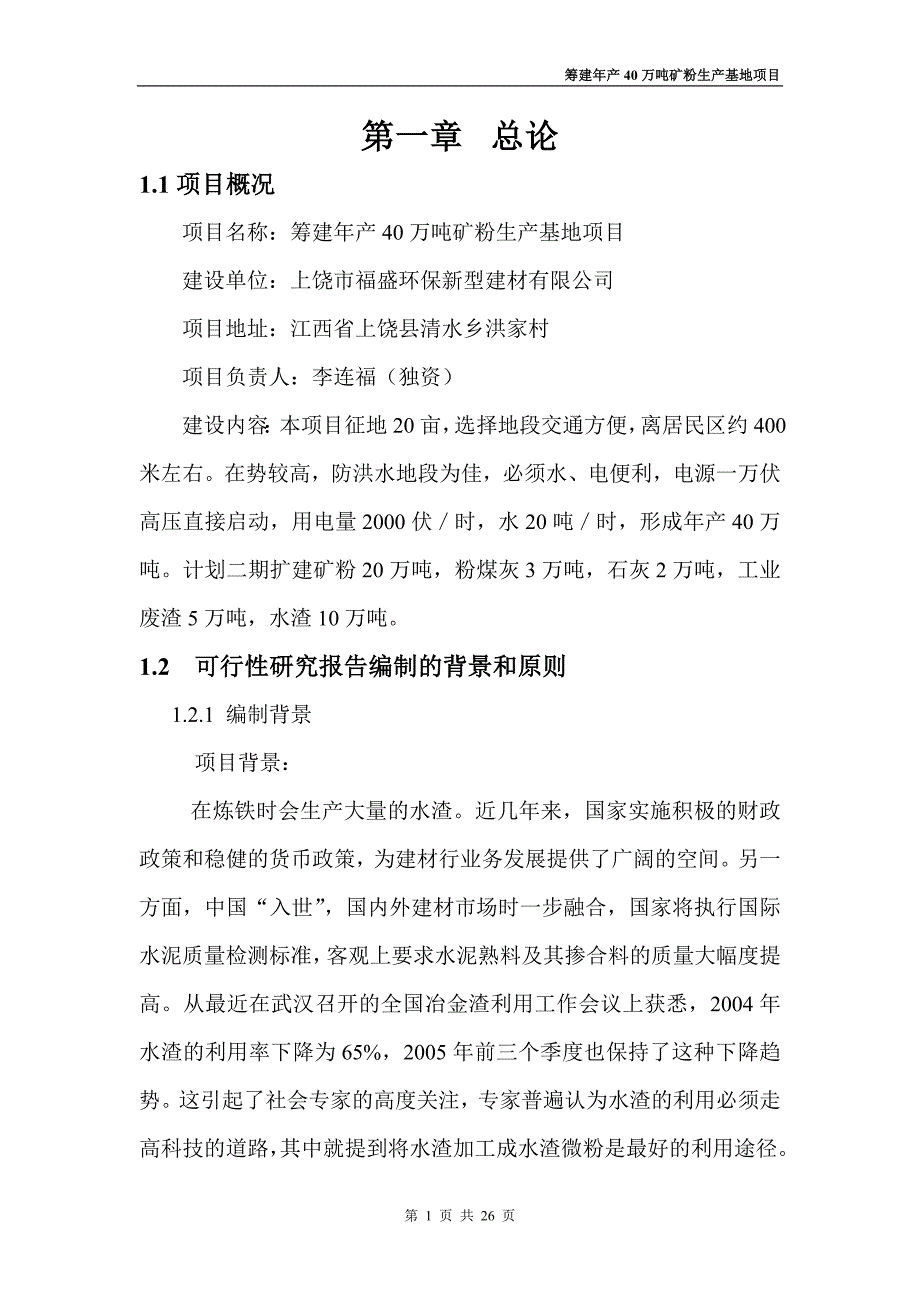 筹建年产40万吨矿粉生产基地项目可行性报告_第1页