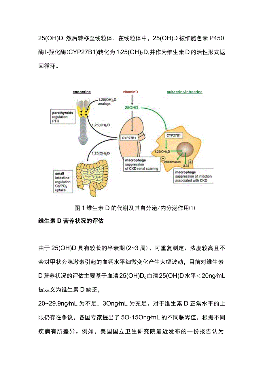 2023维生素D活性成分在慢性肾脏病患者中的应用循证证据总结（全文）_第2页