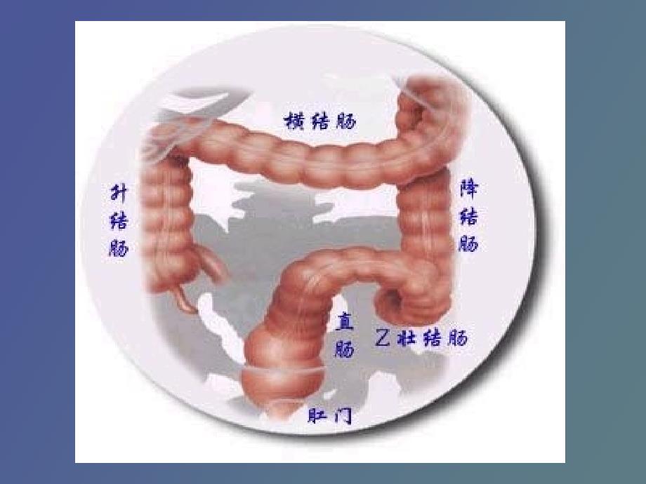 肛管直肠疾病_第4页