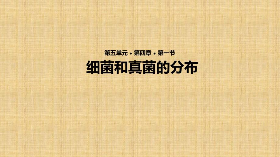 初中八年级生物上册541细菌和真菌的分布教学名师优质课件新版新人教版_第1页