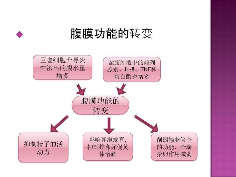 子宫内膜异位症相关不孕_第5页