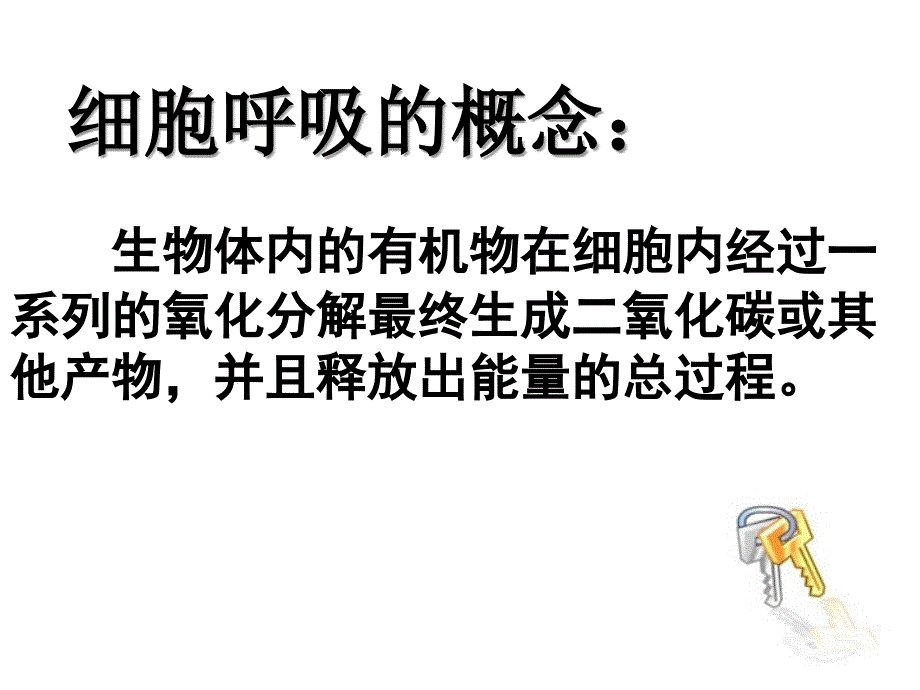 细胞呼吸一轮复习解析ppt课件_第3页