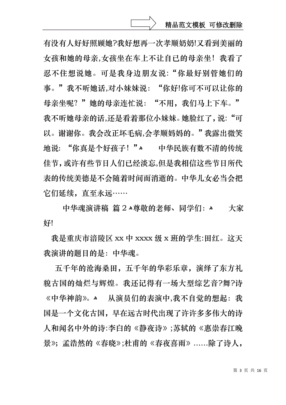 中华魂演讲稿范文八篇_第3页