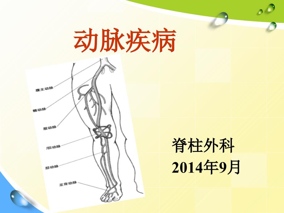 动脉疾病护理PPT课件_第1页