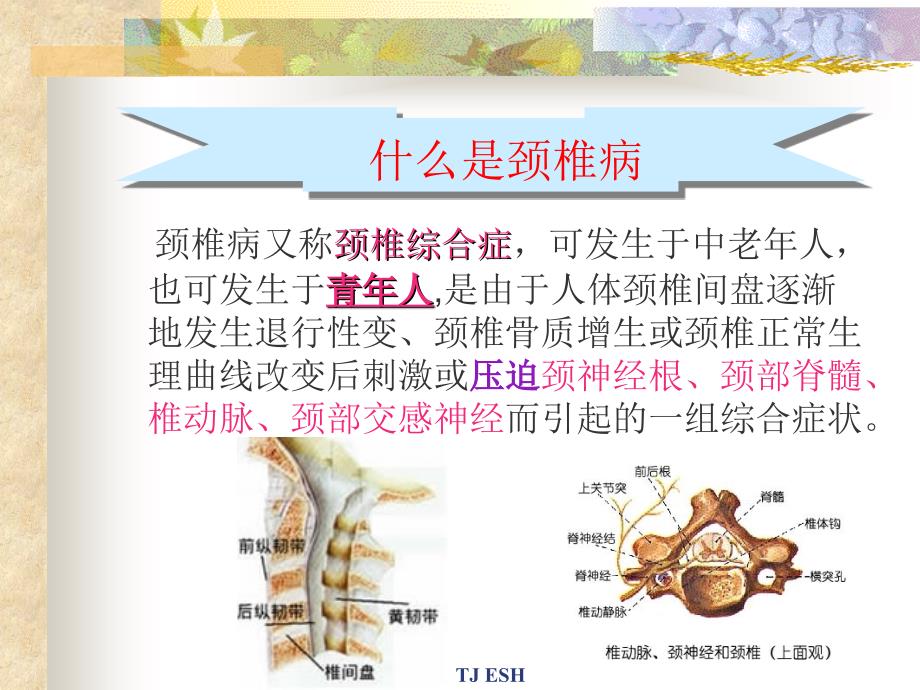 [颈椎病预防保健操]_第2页