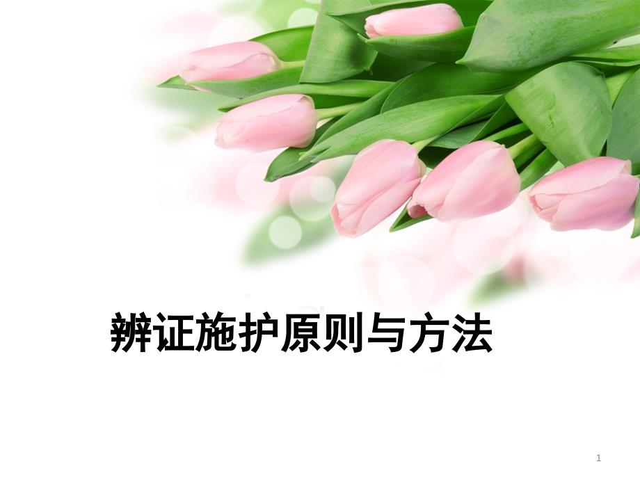 辩证施护PPT精品文档_第1页