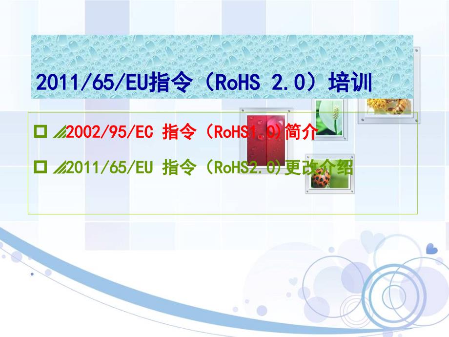 ROHS2.0培训资料(简版)_第1页