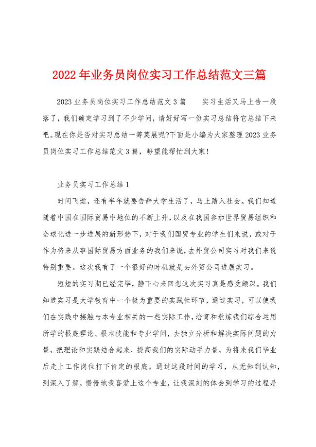 2023年业务员岗位实习工作总结范文三篇.docx