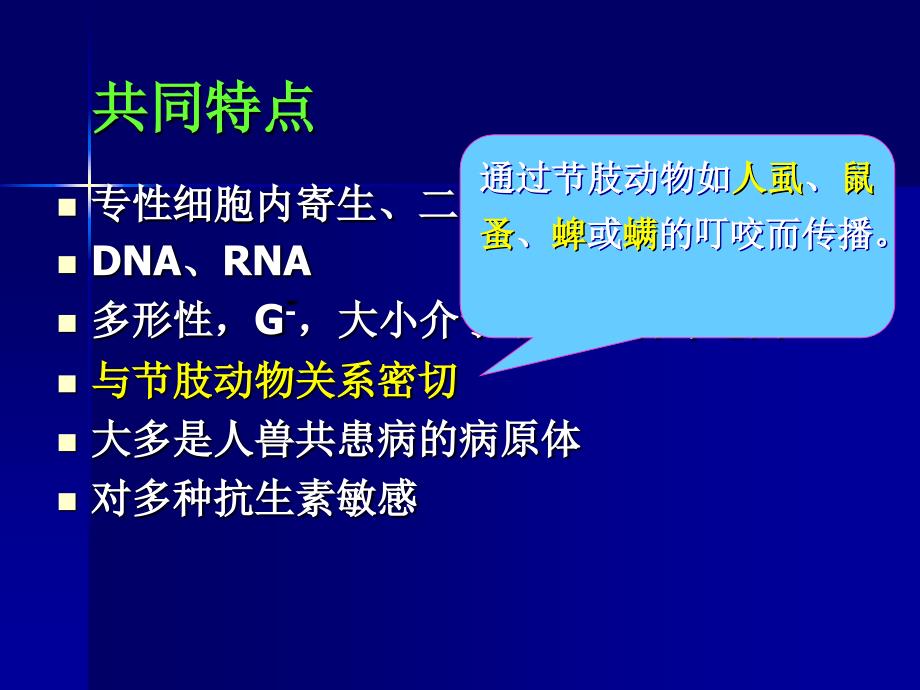 医学微生物学教学课件张敏第十九章立克次体_第2页