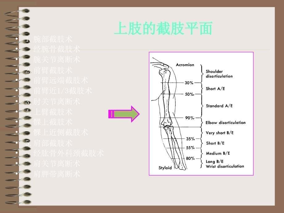 上肢截肢术非常经典_第5页