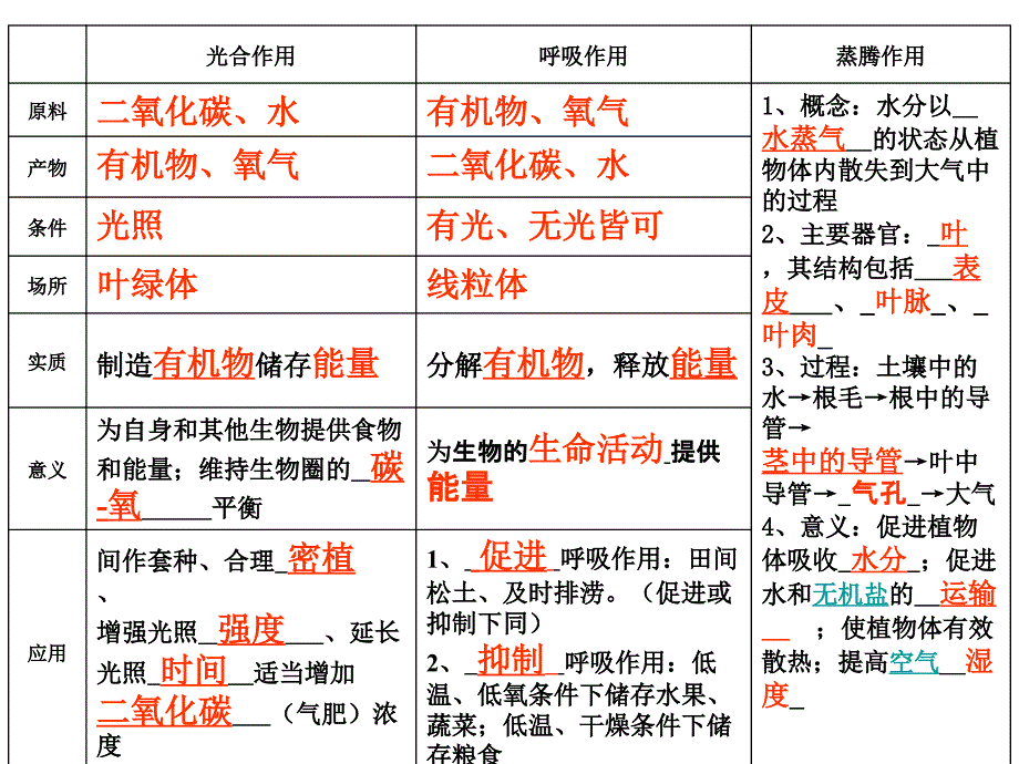 《植物的三大作用(复习)》教学资料_第2页