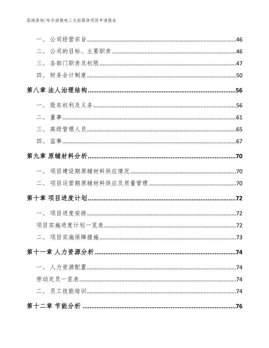 哈尔滨锂电三元前驱体项目申请报告（范文模板）_第4页