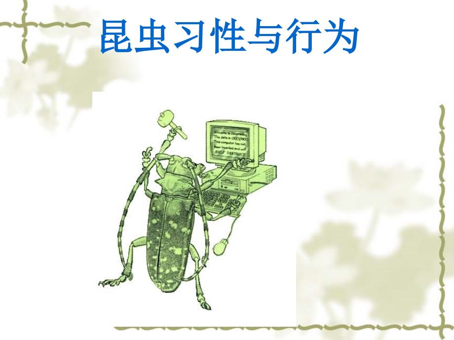 三昆虫的习性与行为_第1页