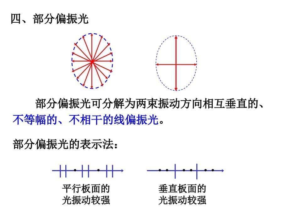 第12章 光的偏振_第5页