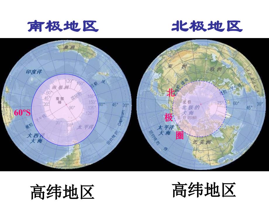 胡萝卜第十章极地地区精品教育_第2页