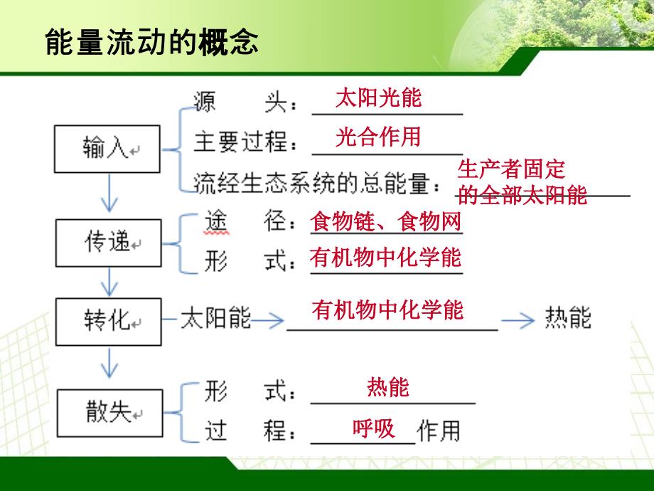 LXF-生态系统能量流动(一轮复习)课件_第4页