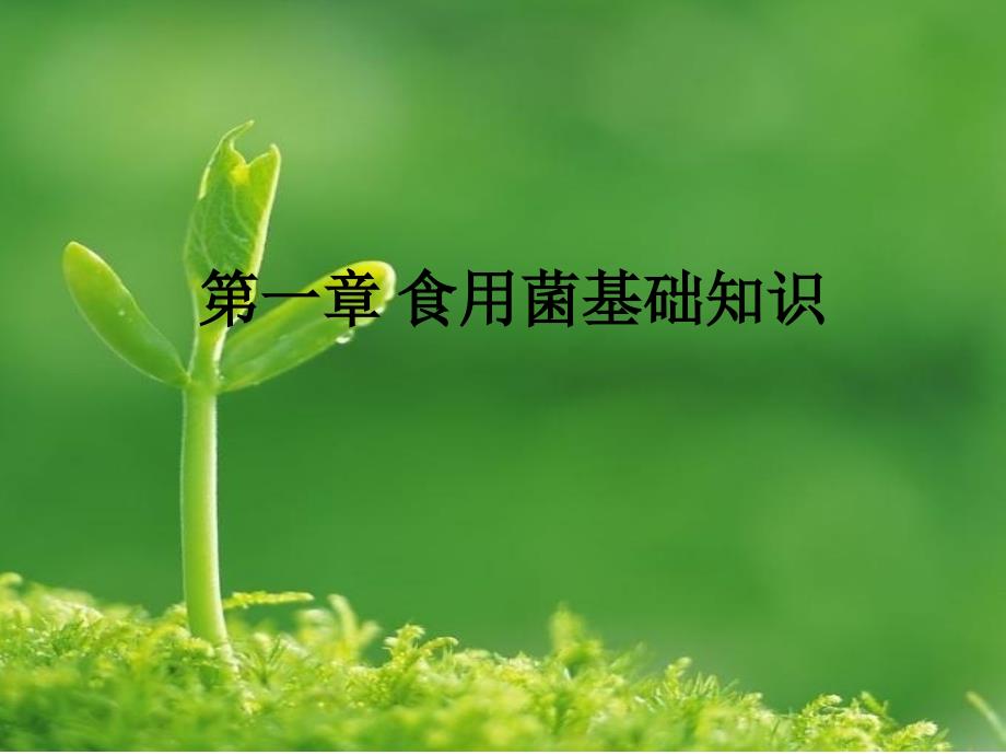 《食用菌基础知识》PPT课件_第1页