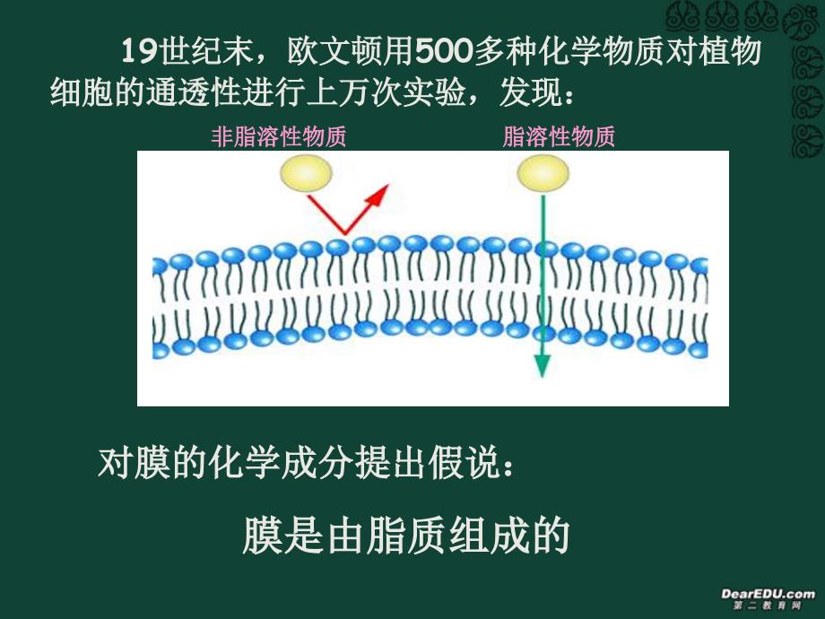 人教版教学课件上课用生物膜的流动镶嵌模型课件_第4页