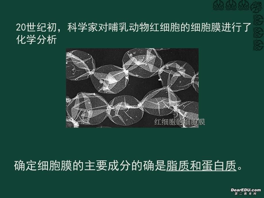 人教版教学课件上课用生物膜的流动镶嵌模型课件_第5页