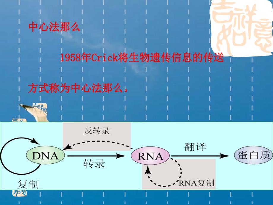 遗传物质核酸ppt课件_第3页