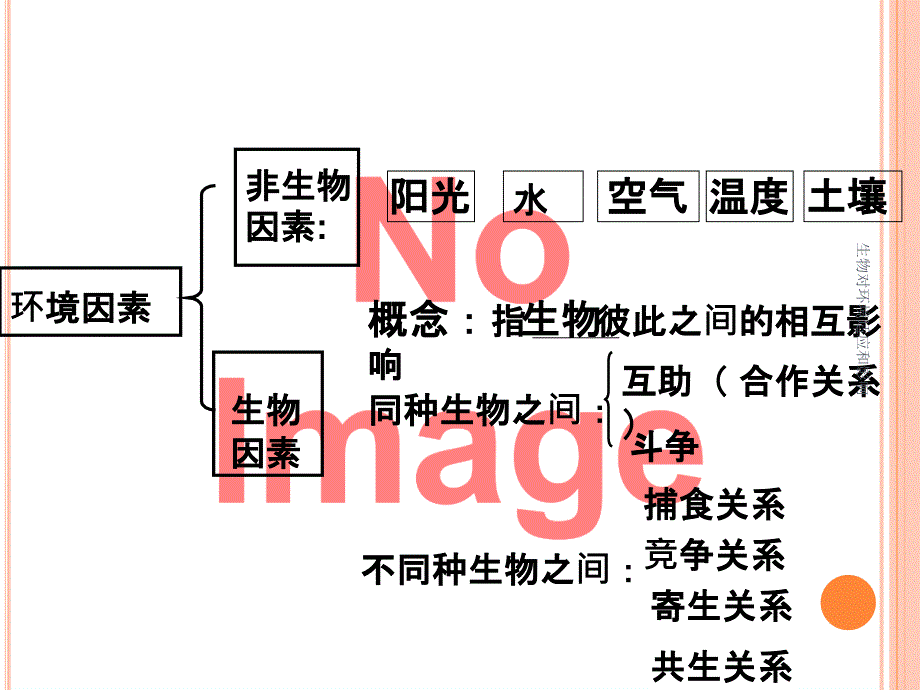 生物对环境适应和影响_第3页