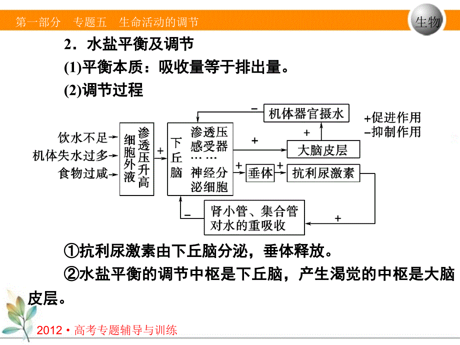 专题五第二讲生命活动调节人体稳态和免疫_第4页