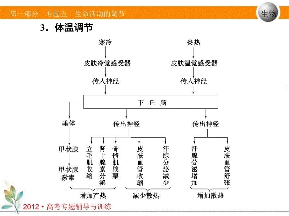 专题五第二讲生命活动调节人体稳态和免疫_第5页