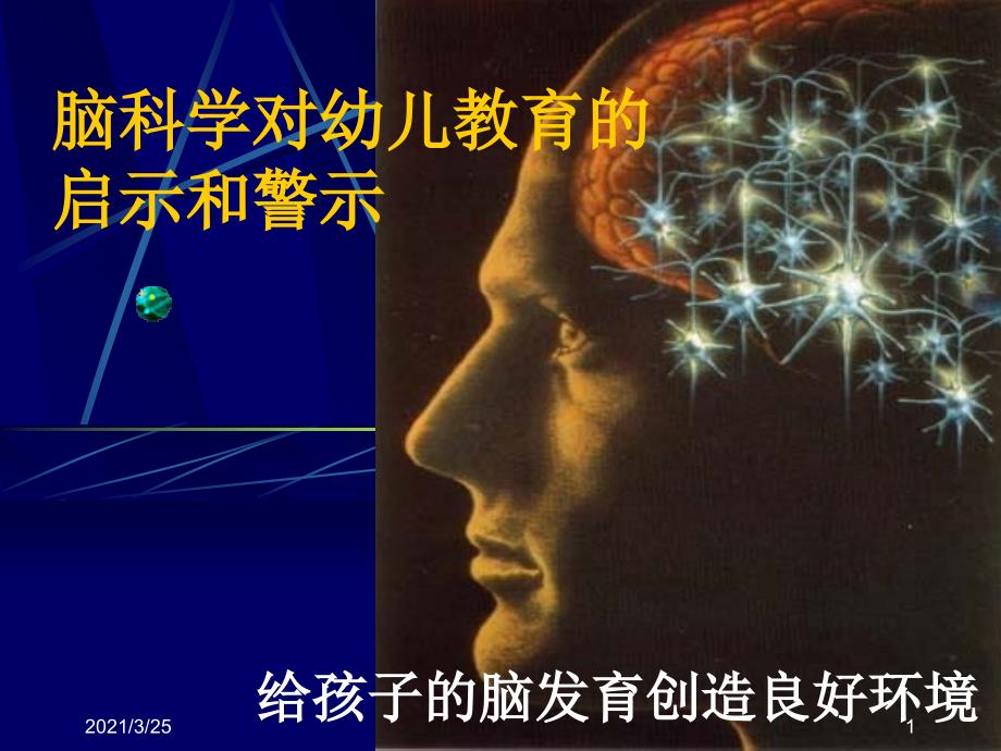 脑科学对早期教育的启示和警示PPT课件_第1页