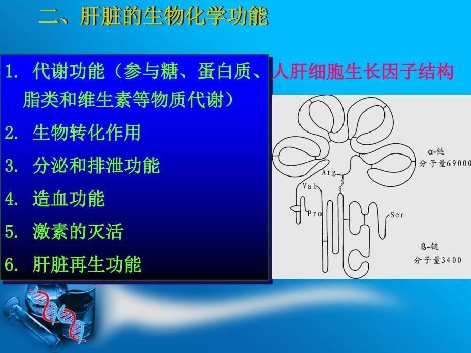 第八部分肝胆疾病的生物化学诊断_第5页