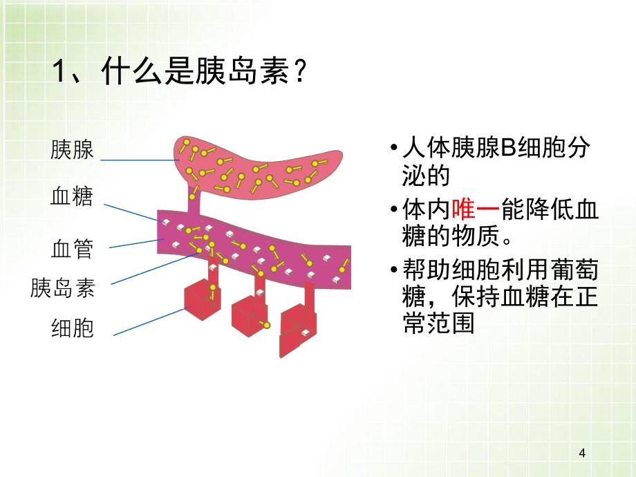 糖尿病的药物治疗及护理课件_第4页