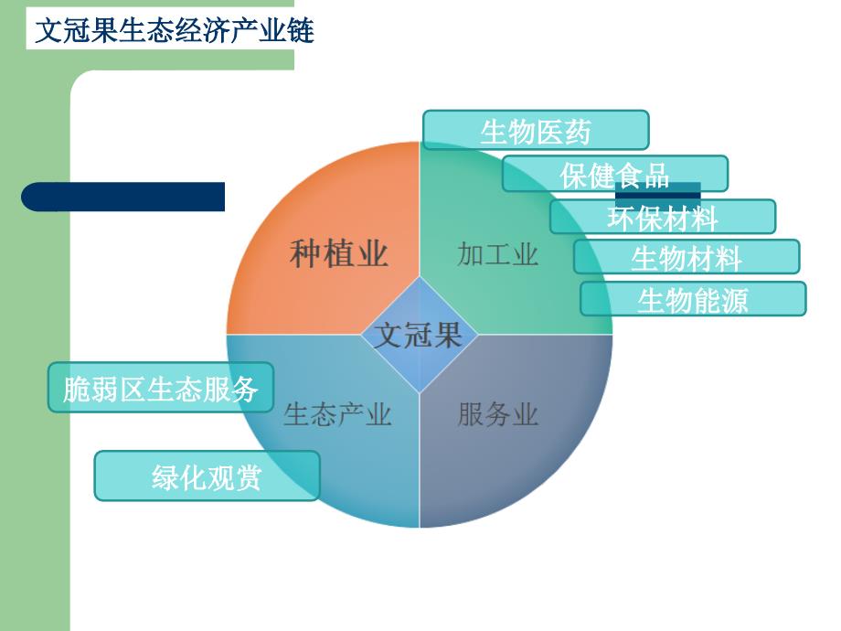 文冠果产业战略.ppt_第2页