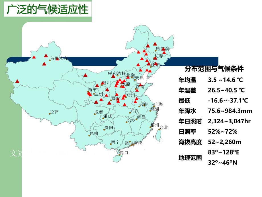 文冠果产业战略.ppt_第4页