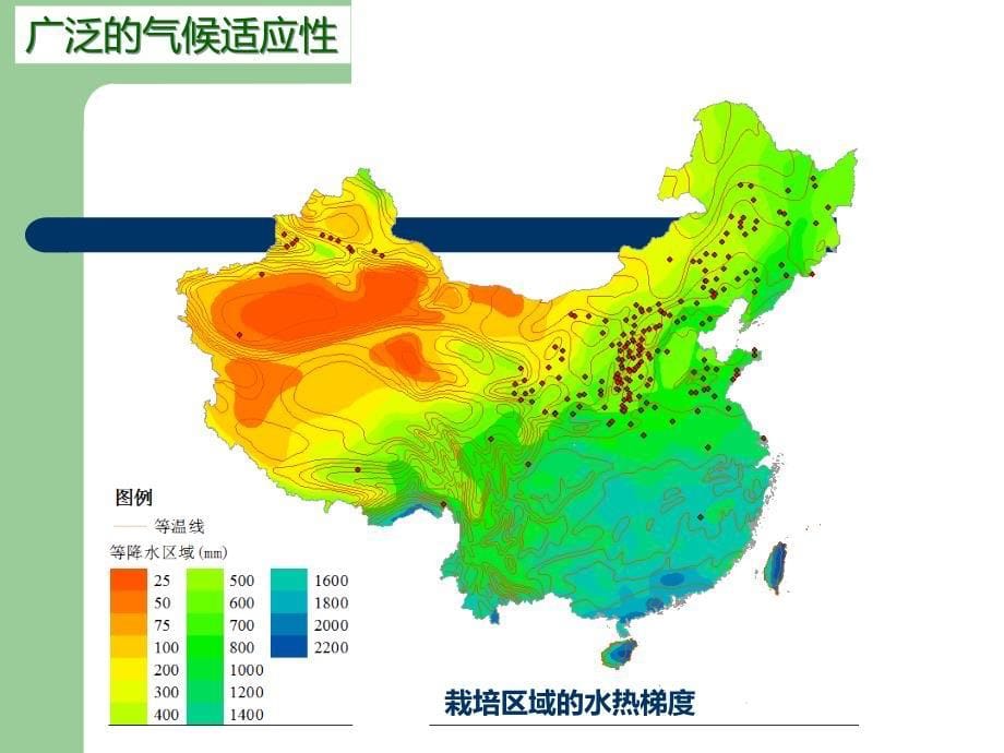 文冠果产业战略.ppt_第5页