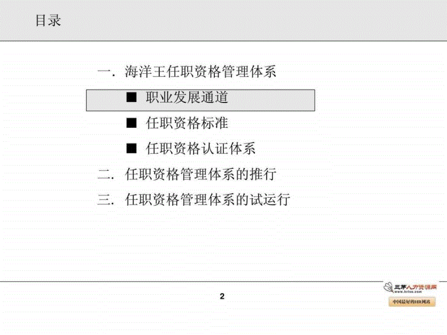 公司任职资格管理体系介绍及试运行办法1_第2页