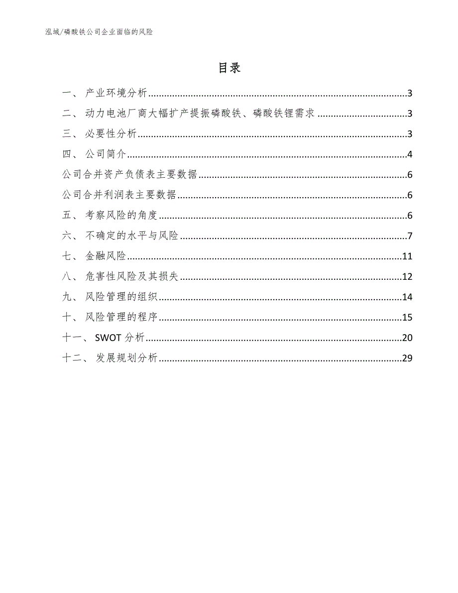 磷酸铁公司企业面临的风险_第2页