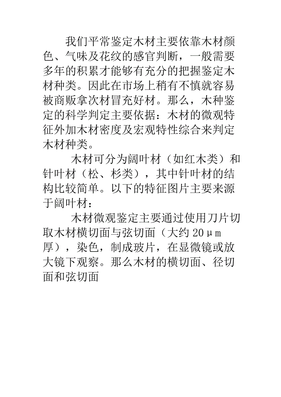 木材微观鉴定系列——木材横切面.doc_第1页