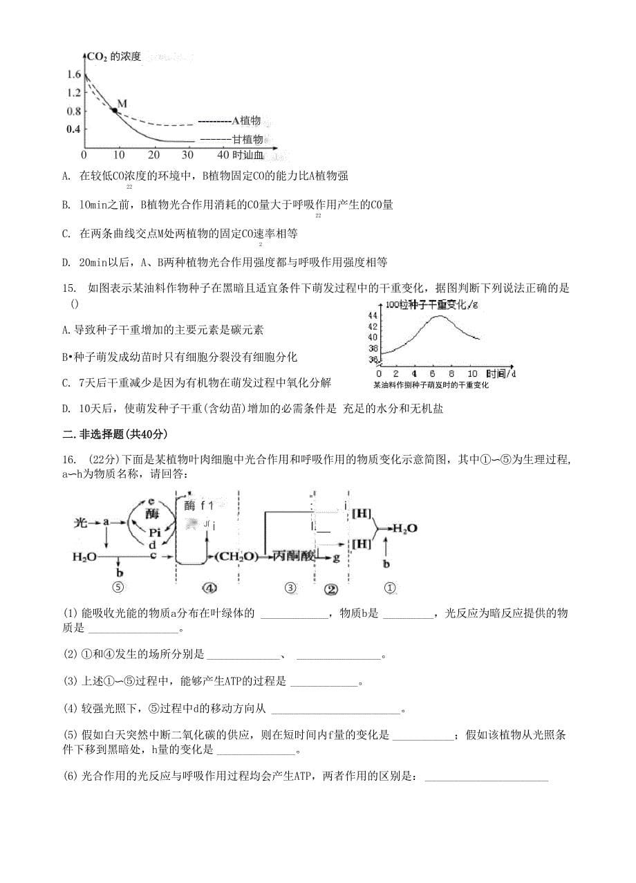 光合作用与呼吸作用的关系限时练(含答案)_第5页